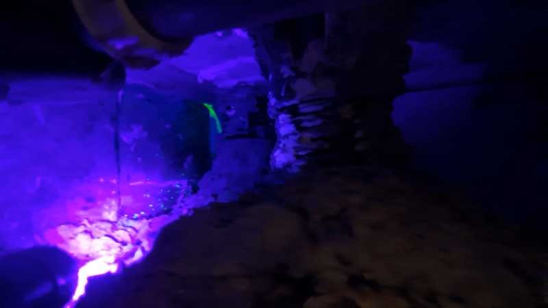 Colorant traceur révélant la fuite sous le receveur à la lampe UV